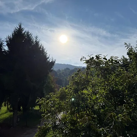 아파트 Casa Di Michele 브렌조네 술 가르다